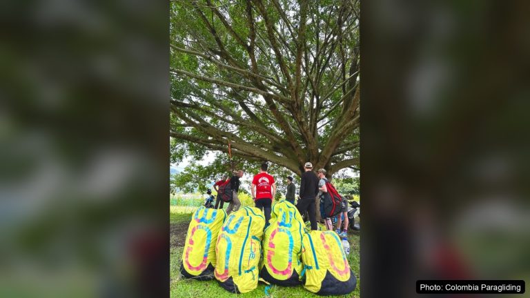 A group of paragliding students and instructors under a large tree at a training field in Colombia, with four packed yellow paragliders in the foreground. Photo: Colombia Paragliding.